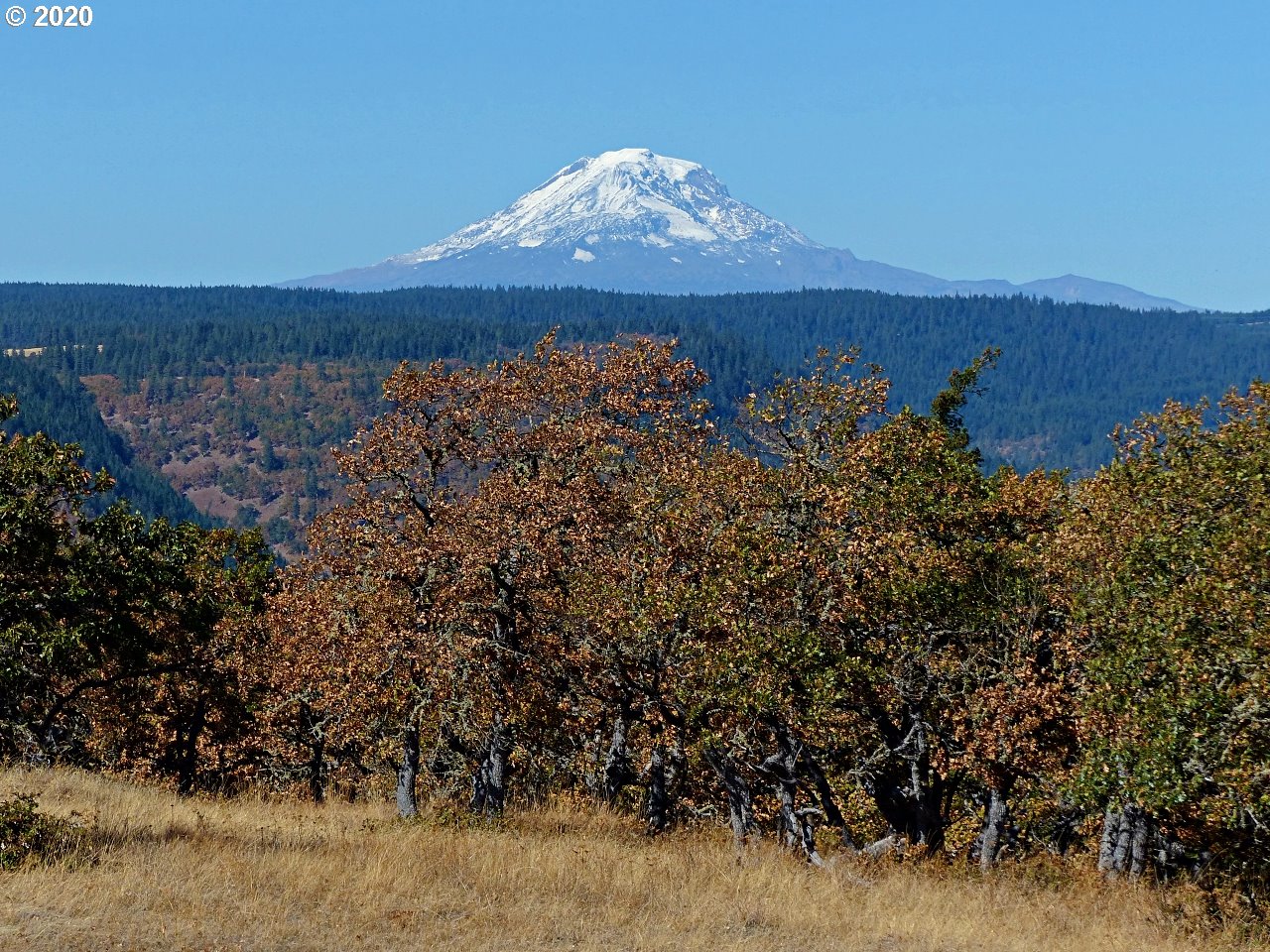 Oda Knight Road Lyle, WA 98635 - Photo 3 of 24 Gallery Image 3