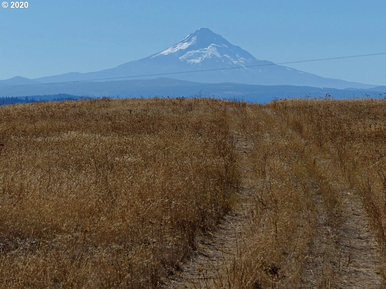 Oda Knight Road Lyle, WA 98635 - Photo 10 of 24 Gallery Image 10