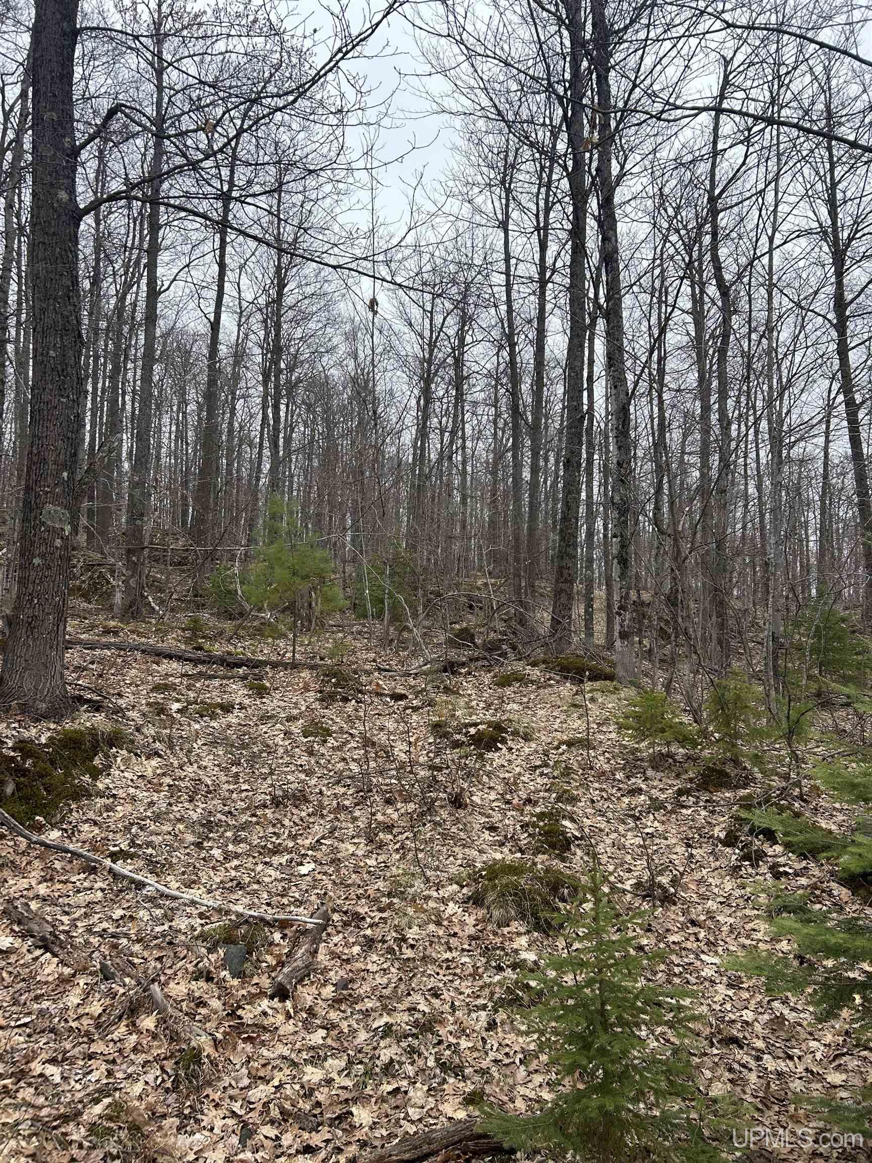 Near Krooks Road Negaunee, MI 49866 - Photo 15 of 15