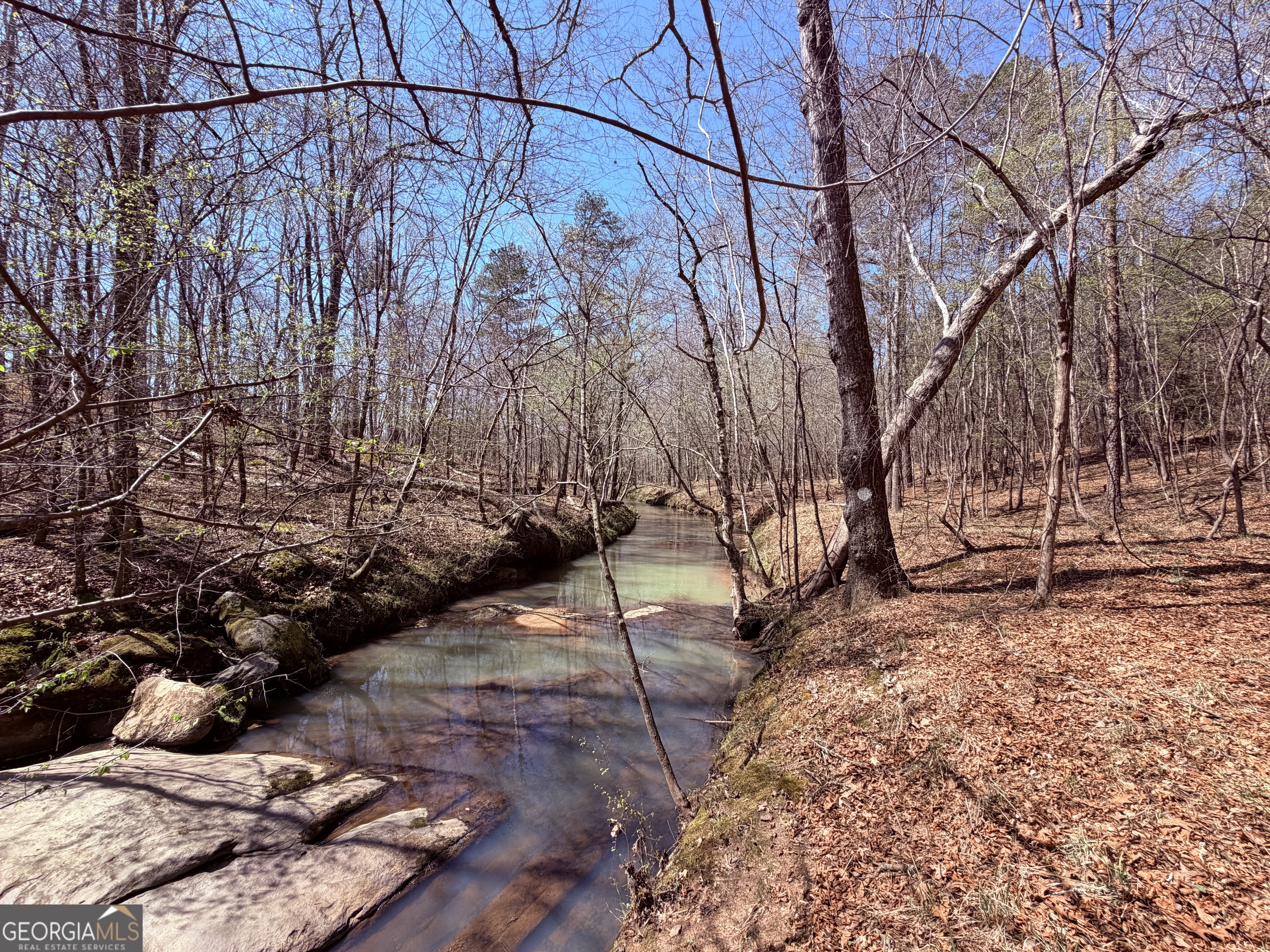 0 Carrs Station Road Sparta, GA 31087 - Photo 16 of 16