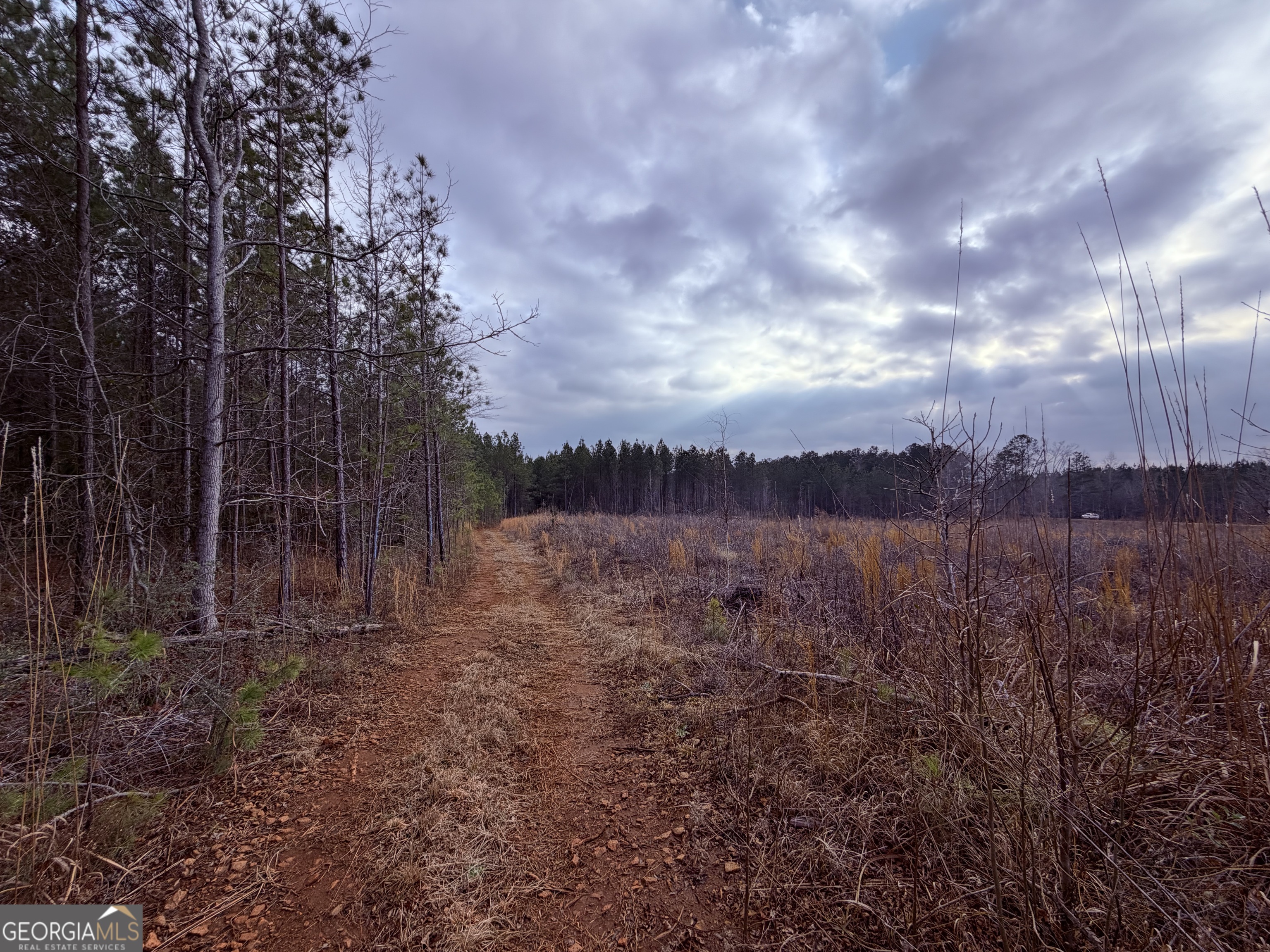 0 Carrs Station Road Sparta, GA 31087 - Photo 2 of 16