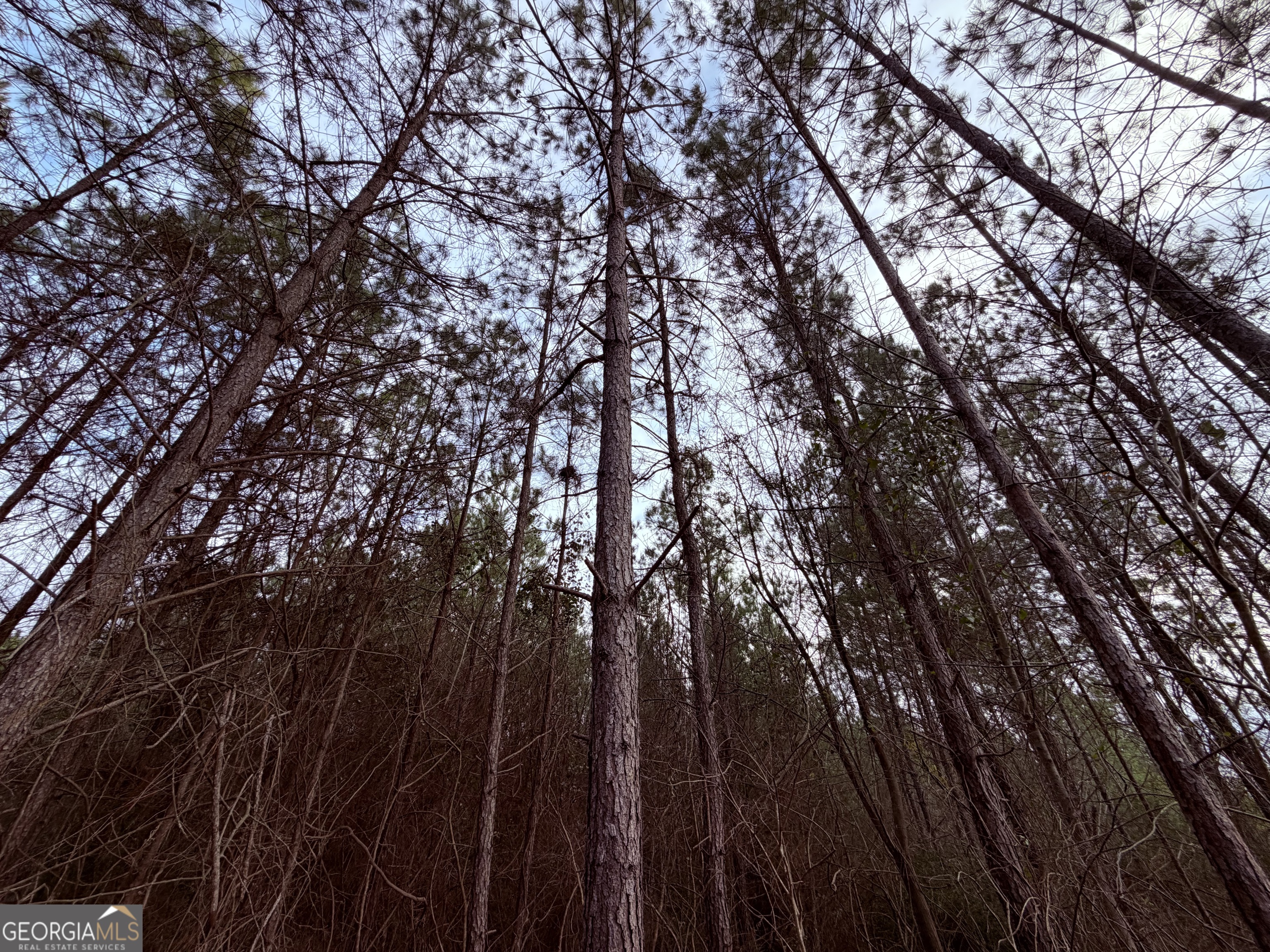 0 Carrs Station Road Sparta, GA 31087 - Photo 3 of 16