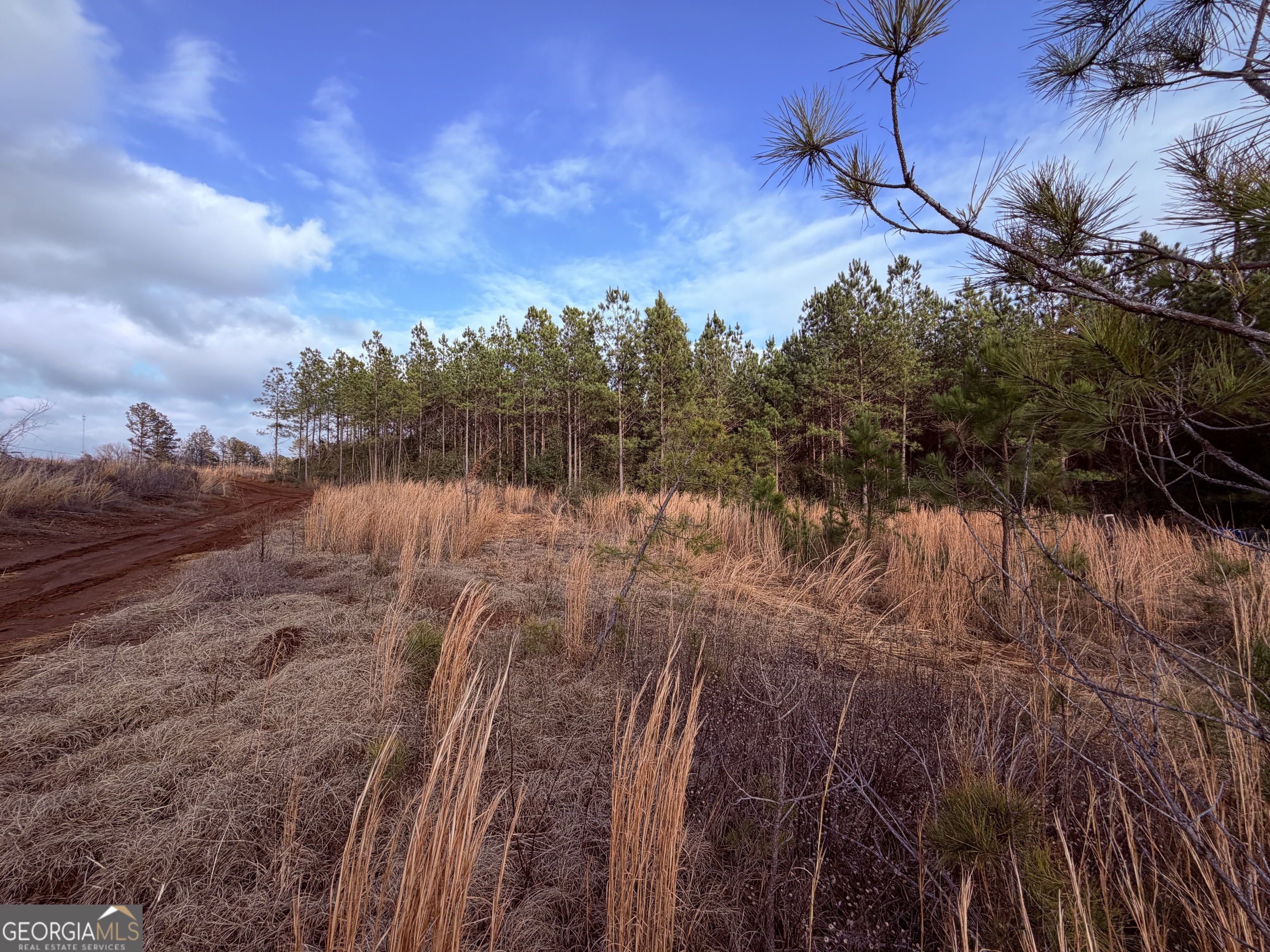 0 Carrs Station Road Sparta, GA 31087 - Photo 4 of 16