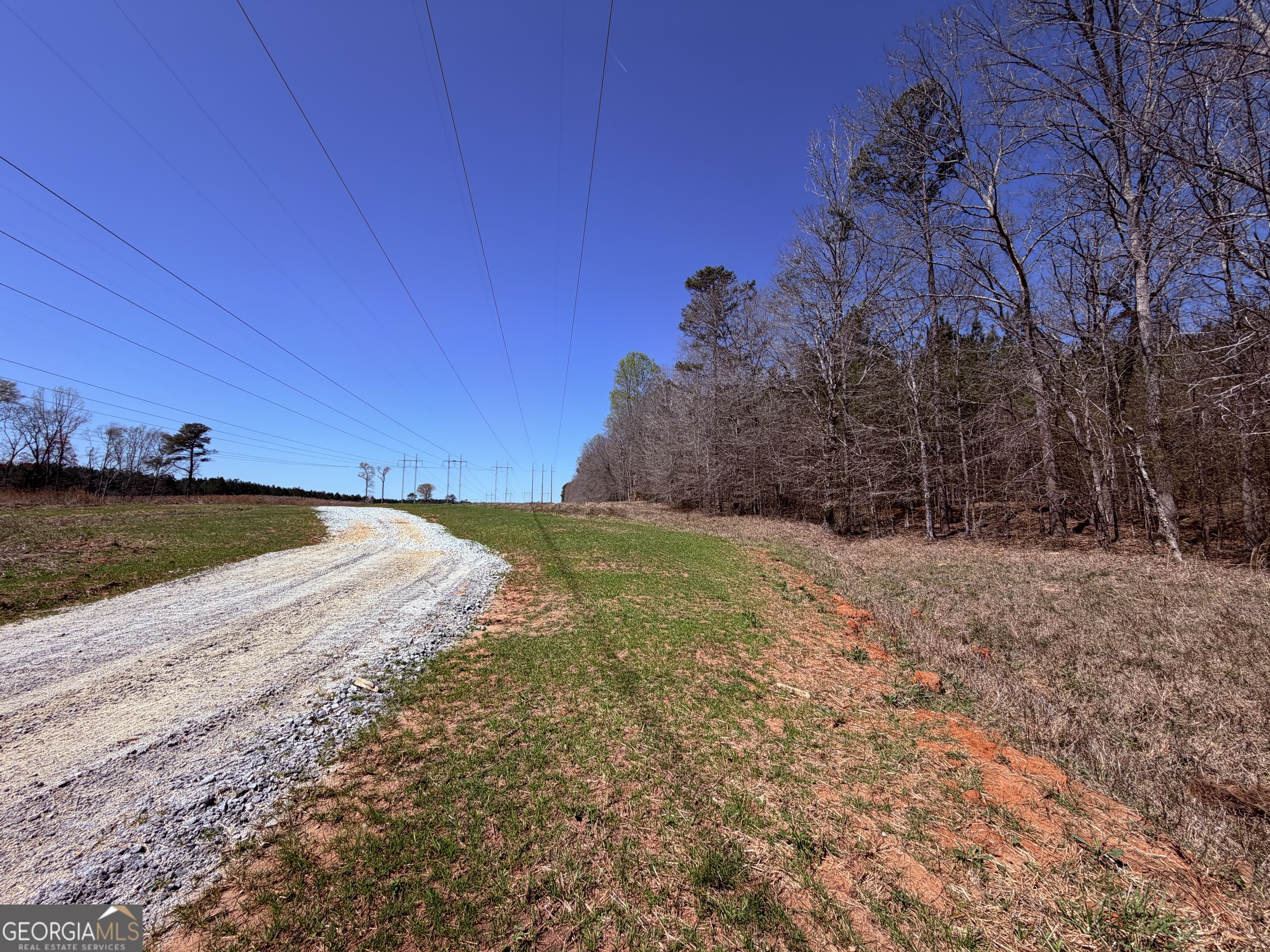 0 Carrs Station Road Sparta, GA 31087 - Photo 6 of 16