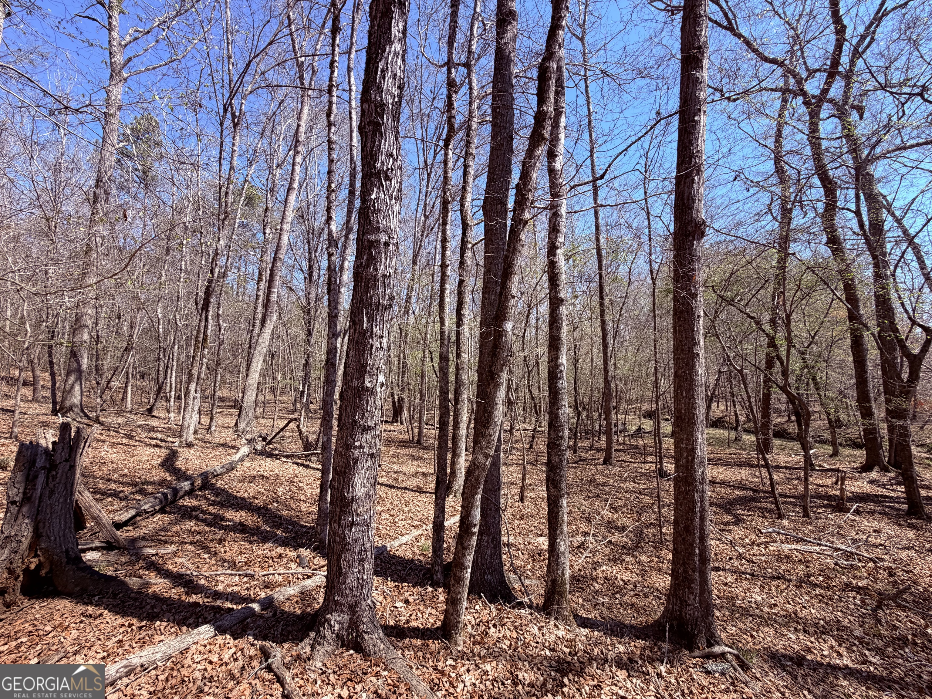 0 Carrs Station Road Sparta, GA 31087 - Photo 7 of 16