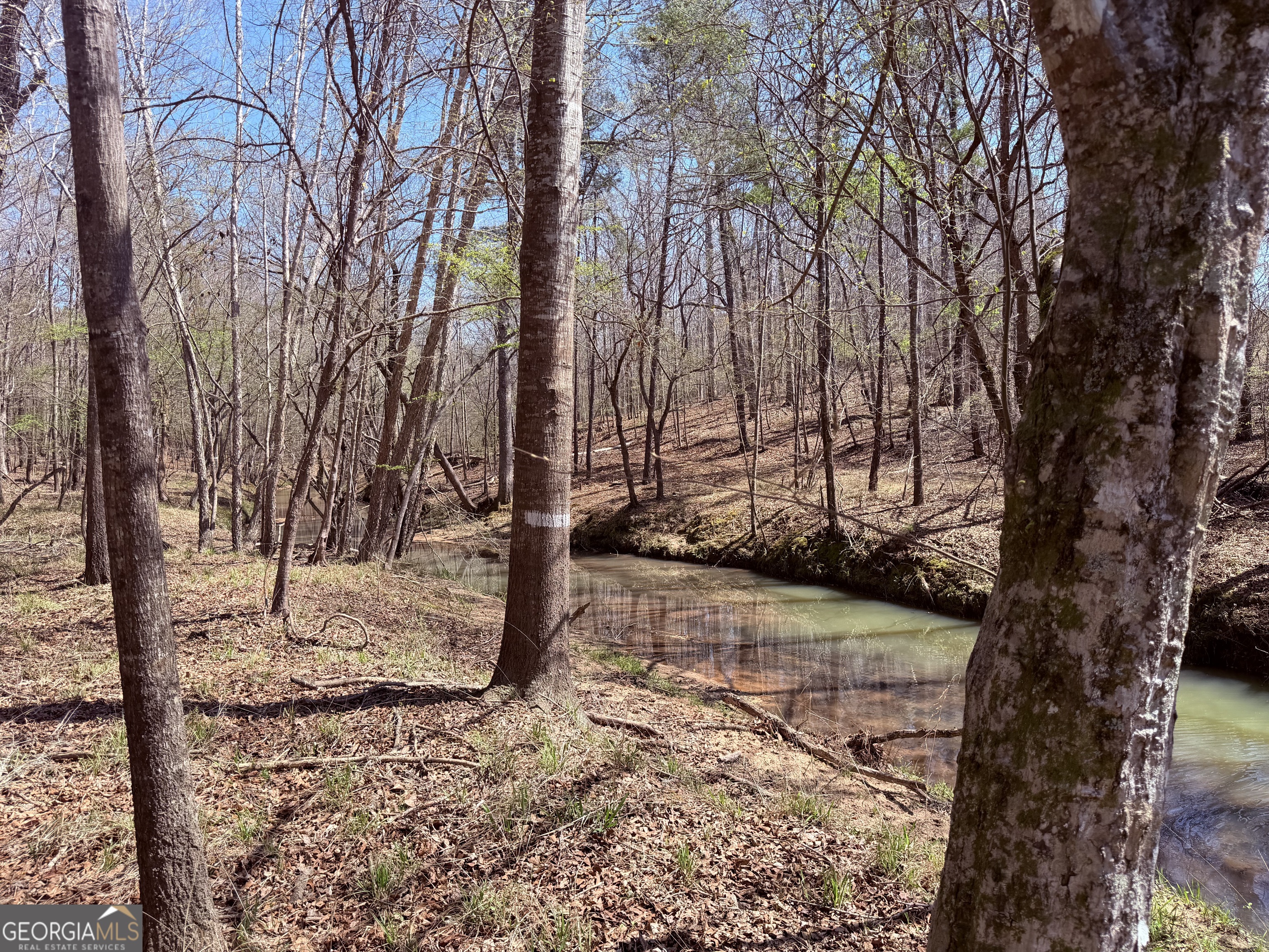 0 Carrs Station Road Sparta, GA 31087 - Photo 8 of 16