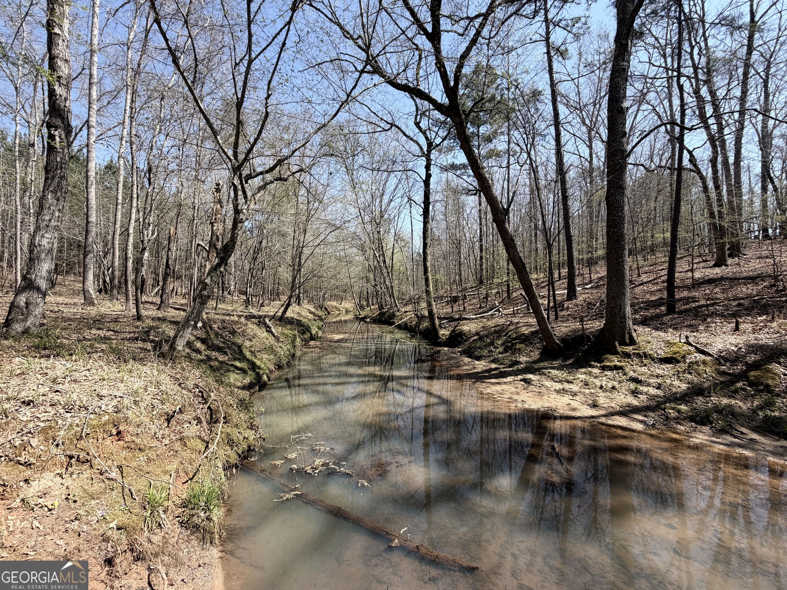 0 Carrs Station Road Sparta, GA 31087 - Photo 9 of 16