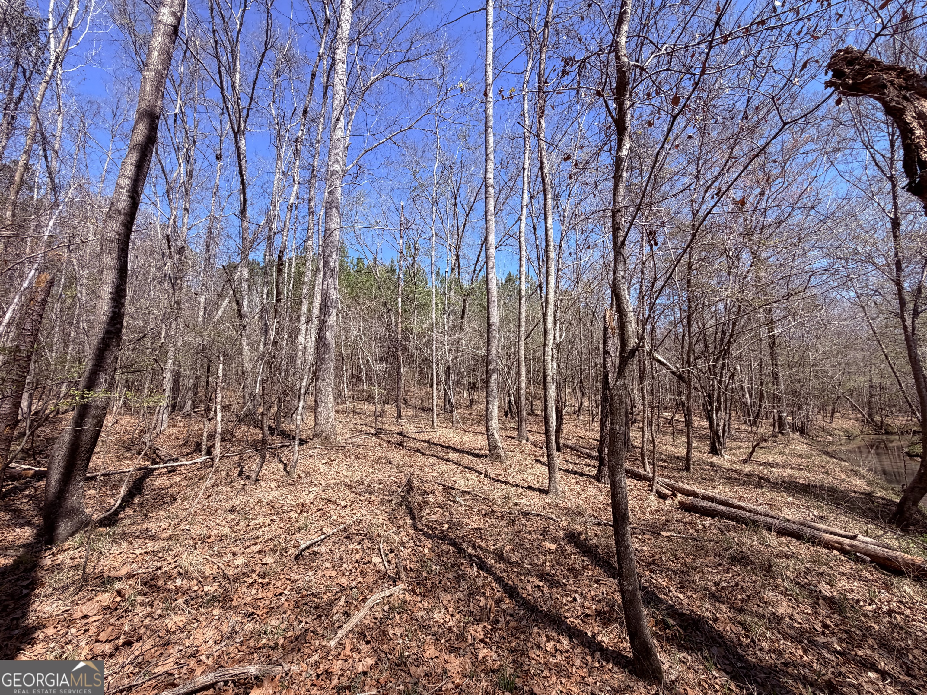 0 Carrs Station Road Sparta, GA 31087 - Photo 10 of 16