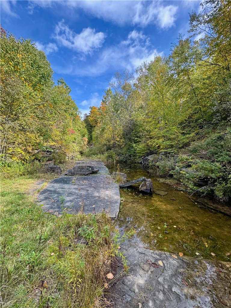 Gallop Hill Road Walton, NY 13856 - Photo 35 of 48 Quarry 1