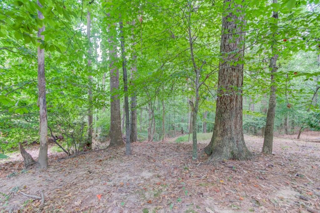 2405 Millwater Crossing Northeast Dacula, GA 30019 - Photo 12 of 63 a view of a forest filled with lots of trees