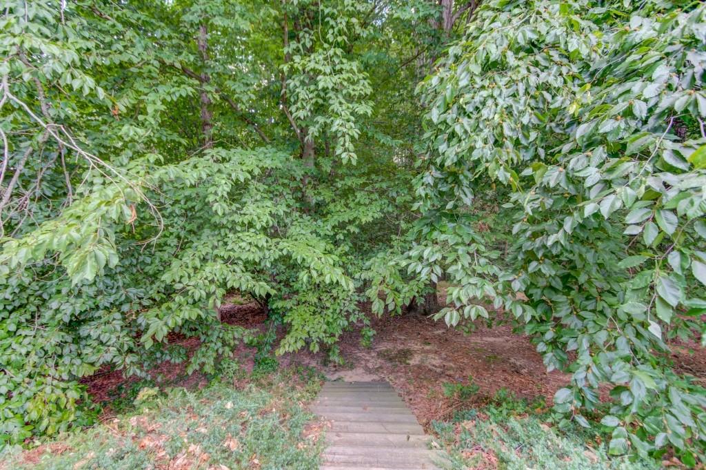 2405 Millwater Crossing Northeast Dacula, GA 30019 - Photo 13 of 63 a view of a garden with plants