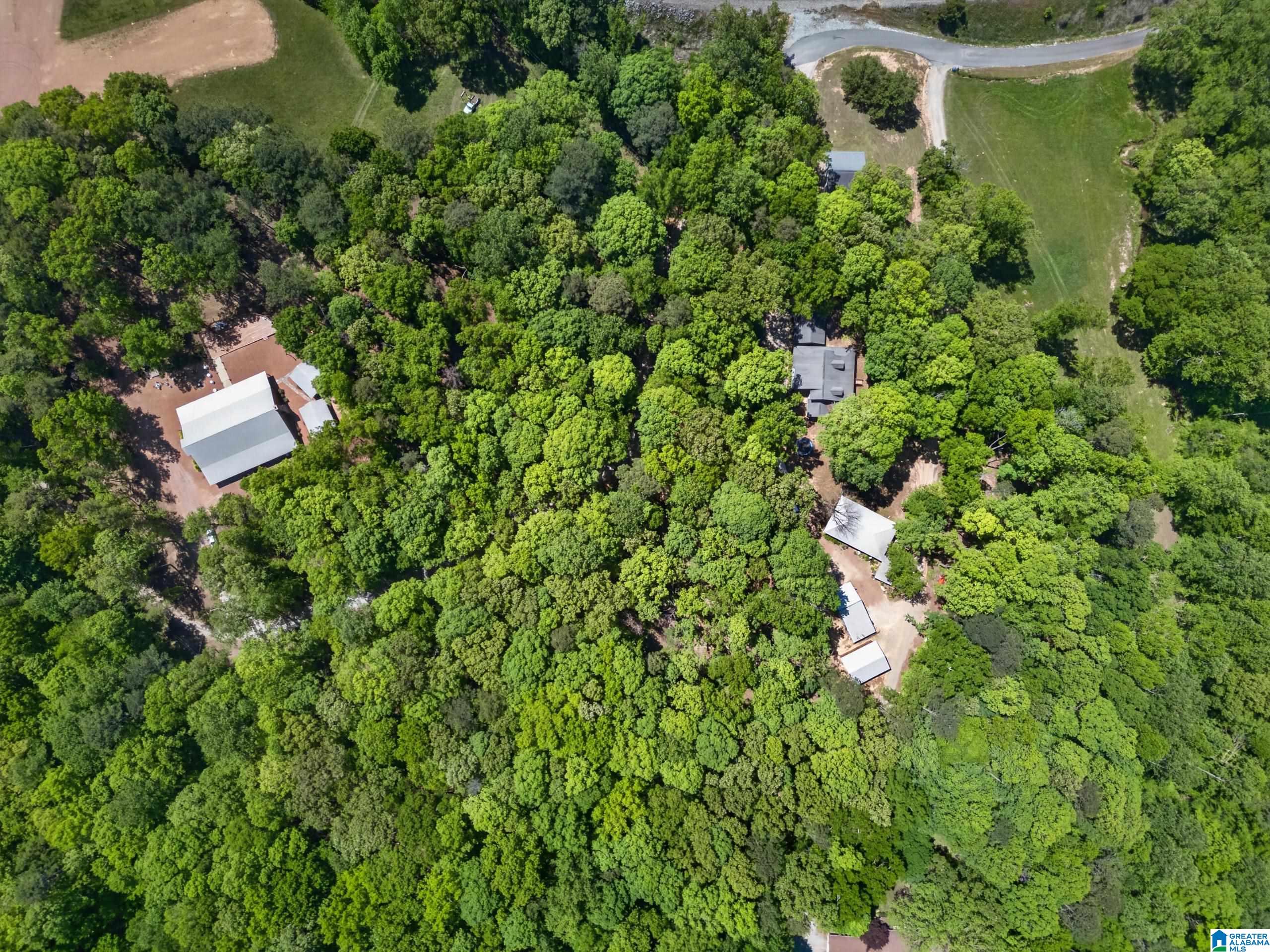 209 Angel Road Anniston, AL 36207 - Photo 2 of 81