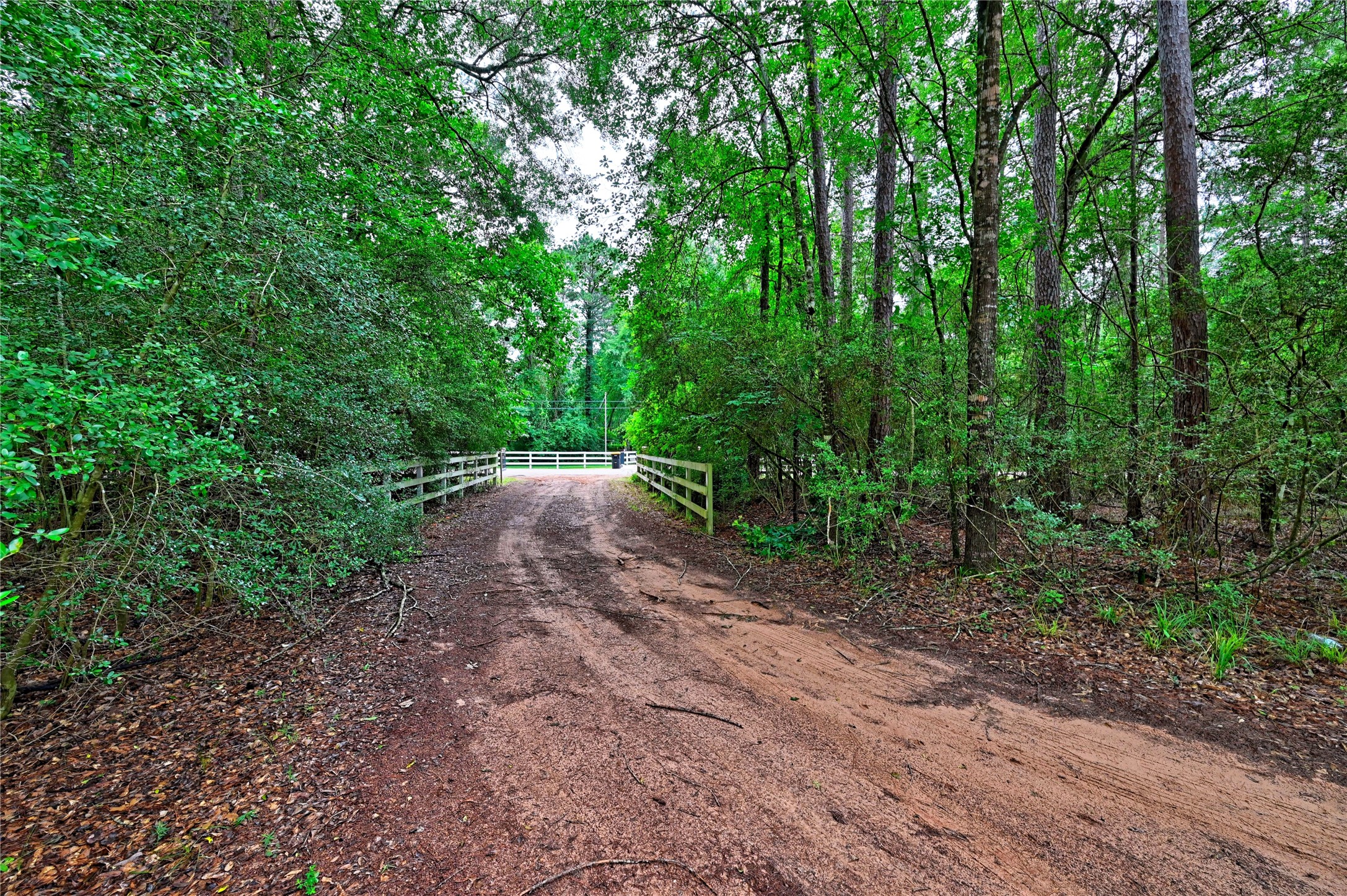 6410 Ranch Park Road Magnolia, TX 77354 - Photo 5 of 8