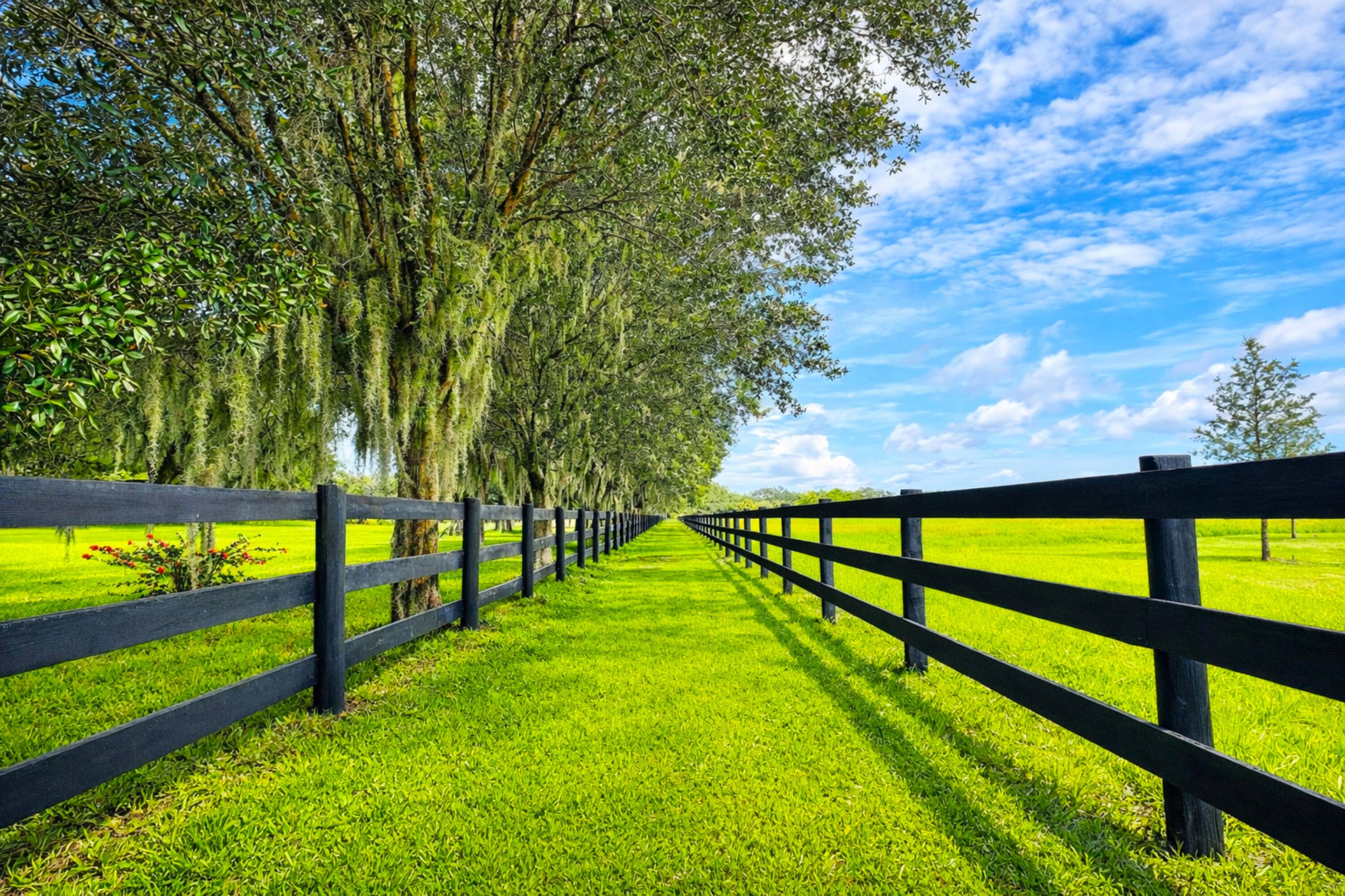 26209 Southwest Jockeys Run Okeechobee, FL 34974 - Photo 6 of 57 Private & Scenic Bridle Trail