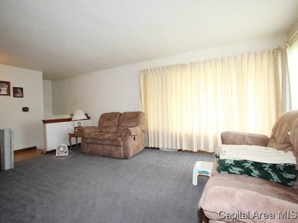 723 South Oaklane Road Springfield, IL 62712 - Photo 3 of 24