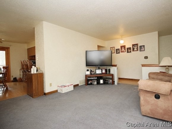 723 South Oaklane Road Springfield, IL 62712 - Photo 4 of 24