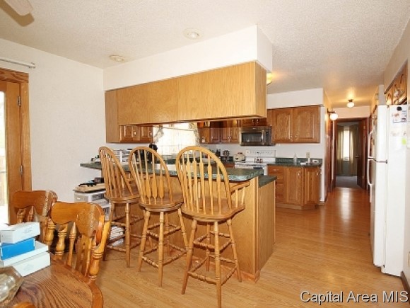 723 South Oaklane Road Springfield, IL 62712 - Photo 6 of 24