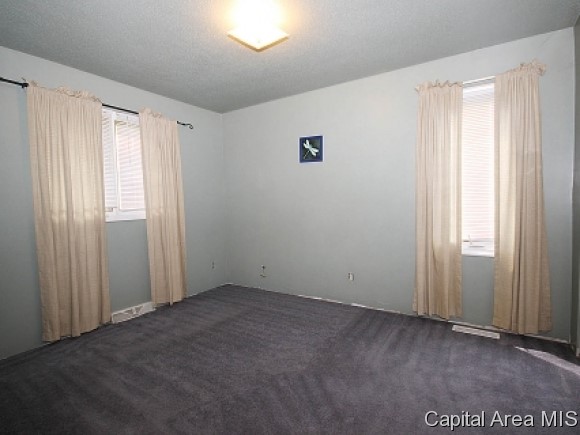 723 South Oaklane Road Springfield, IL 62712 - Photo 10 of 24