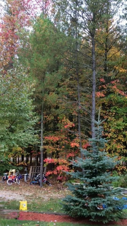 4900 Anderson Road Muskegon, MI 49445 - Photo 3 of 27 .facebook_1486240606175