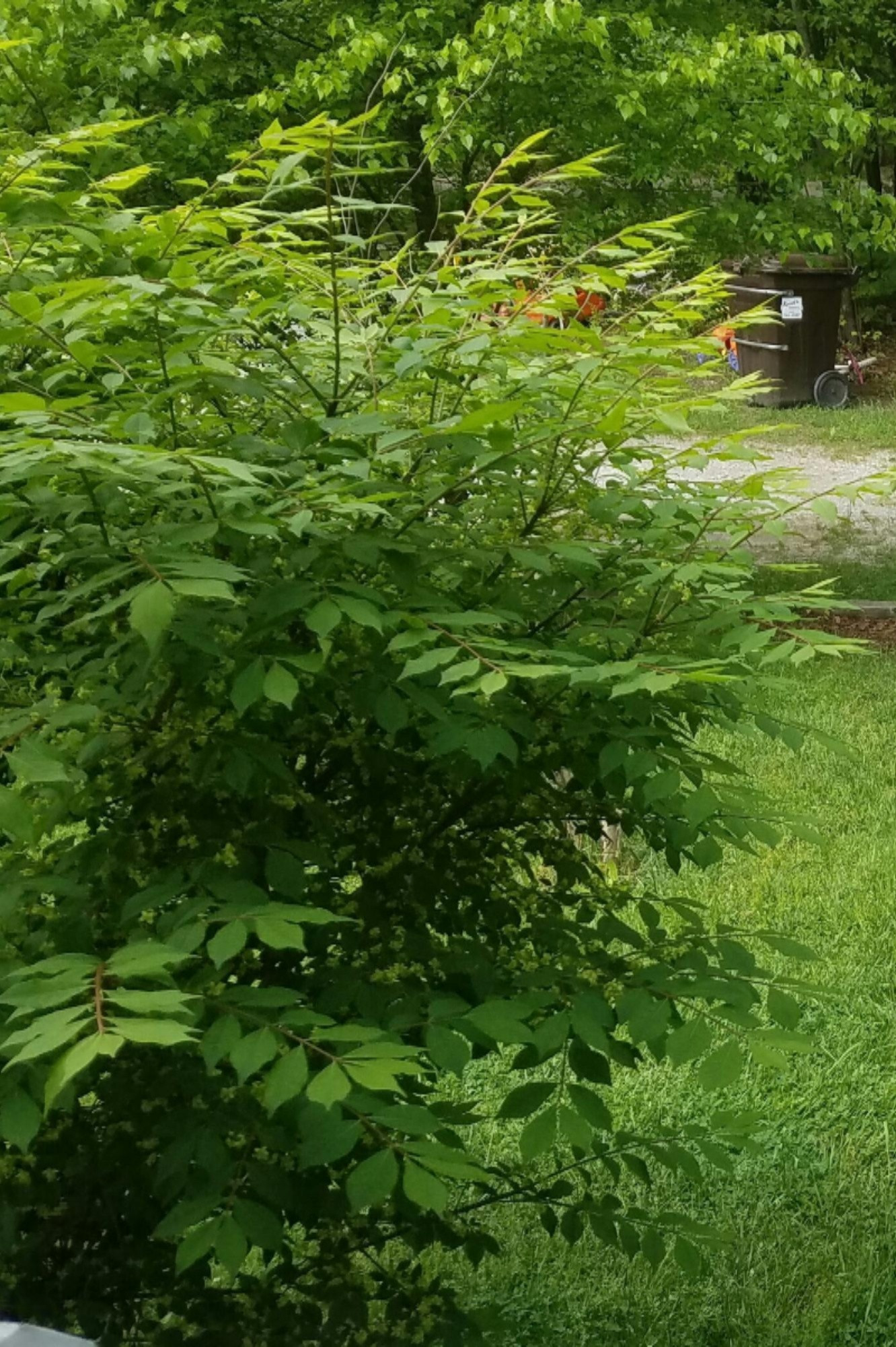 4900 Anderson Road Muskegon, MI 49445 - Photo 5 of 27 20170204_162920