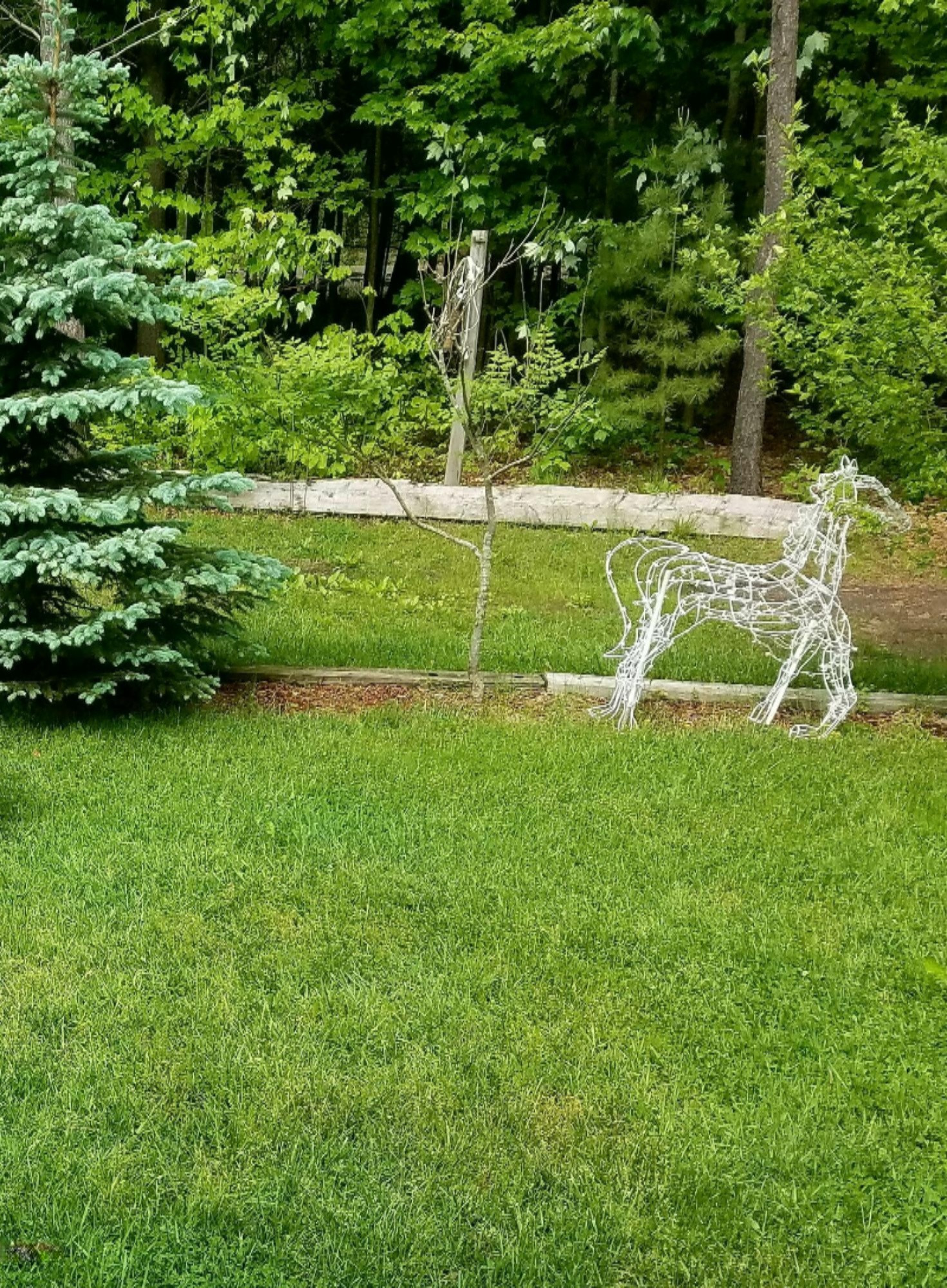 4900 Anderson Road Muskegon, MI 49445 - Photo 6 of 27 20170204_162959