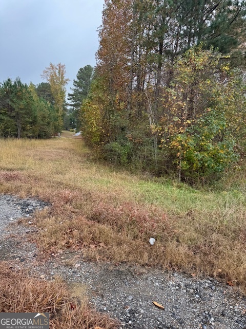 0 Moran Lake Road Rome, GA 30165 - Photo 4 of 5 a view of a yard with a tree