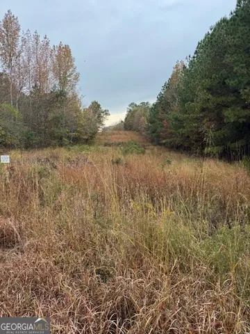 a view of lake with green space