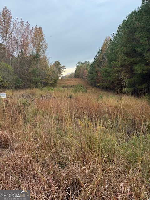 0 Moran Lake Road Rome, GA 30165 - Photo 5 of 5 a view of lake with green space