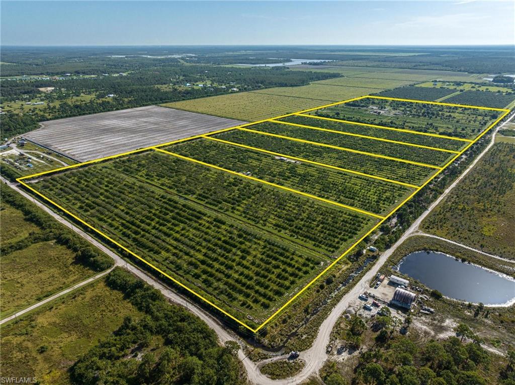 21987 Carter Road Estero, FL 33928 - Photo 11 of 15