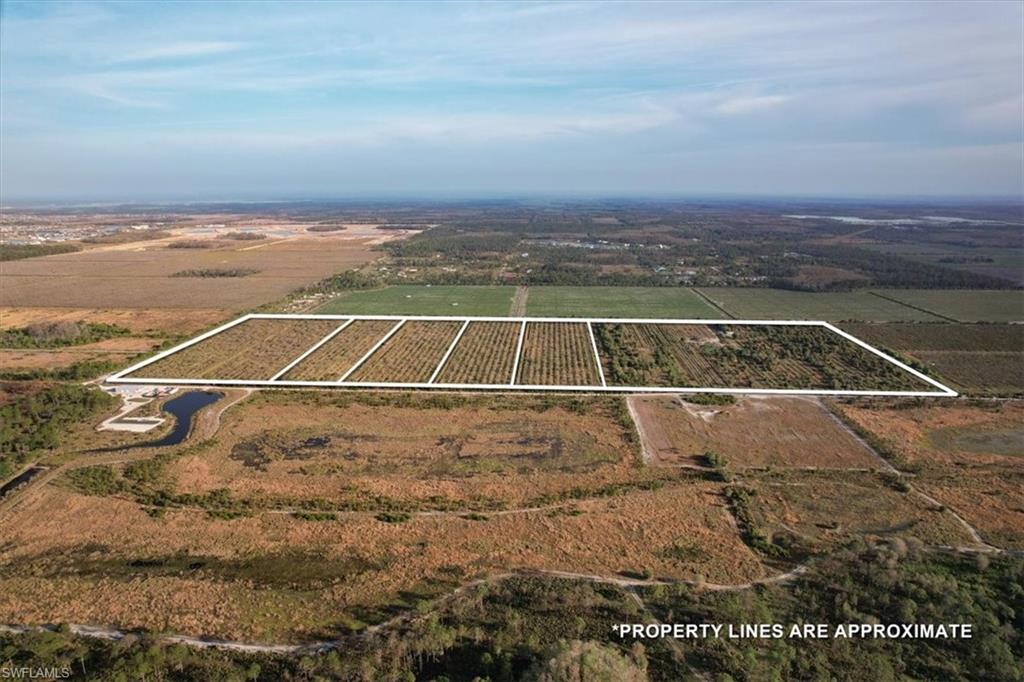 21987 Carter Road Estero, FL 33928 - Photo 4 of 15