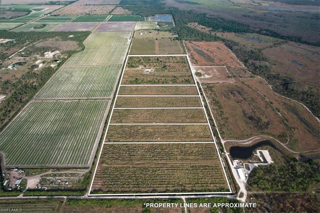 21987 Carter Road Estero, FL 33928 - Photo 6 of 15