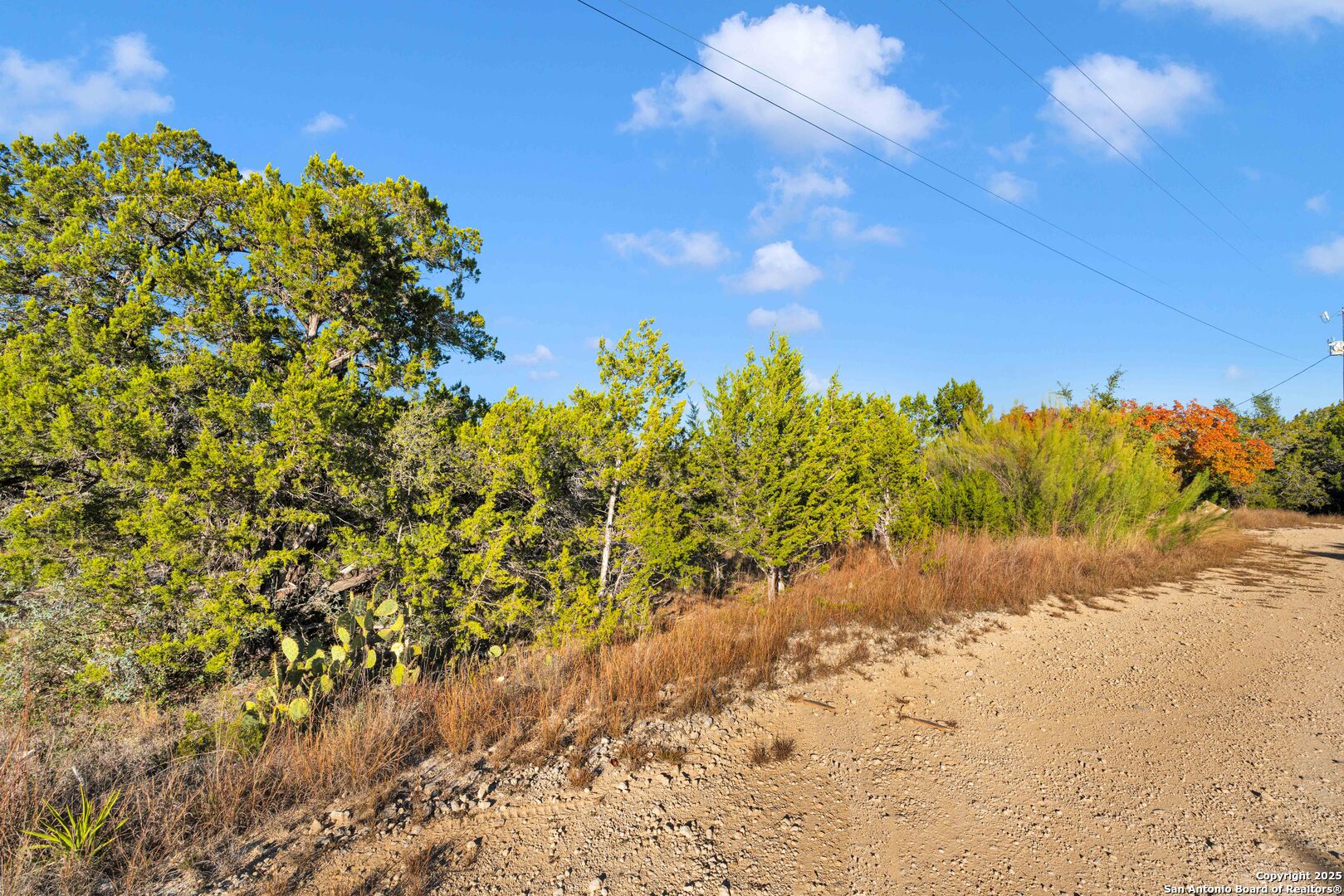 0 Walden Pond Bandera, TX 78003 - Photo 4 of 7 a view of a large yard with lots of bushes