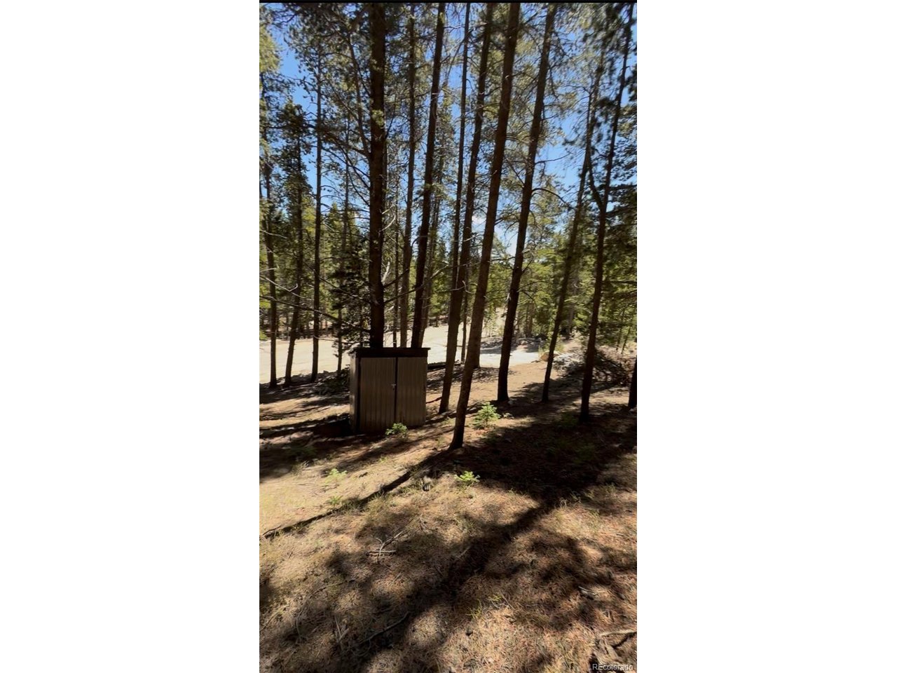 378 Alice Road Idaho Springs, CO 80452 - Photo 11 of 26 a view of a yard with plants and trees