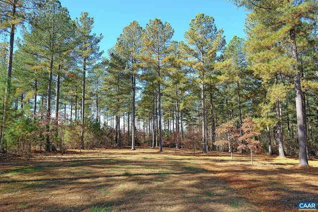a view of a house with roof deck and a tree