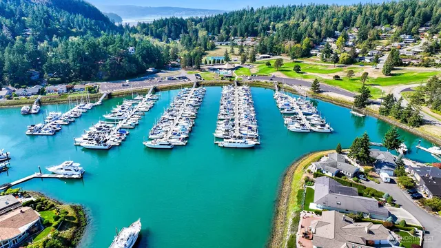 a view of a swimming pool with a yard and plants