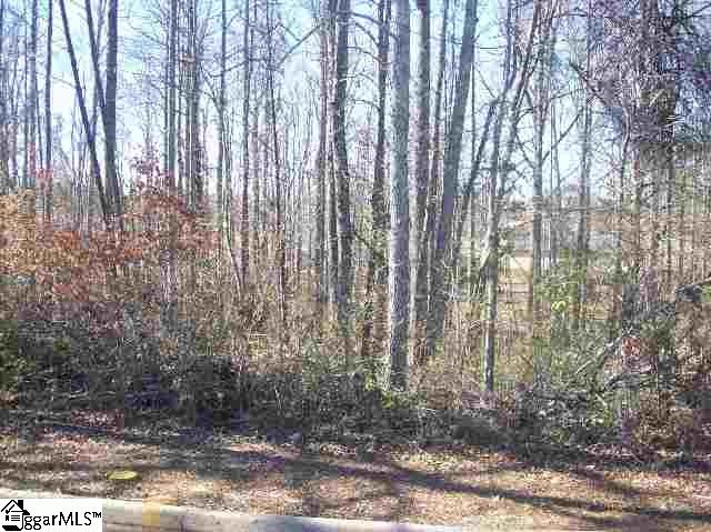 0 Nolan Road, Unit LOT 16 Travelers Rest, SC 29690 - Photo 4 of 6 Gallery Image 4
