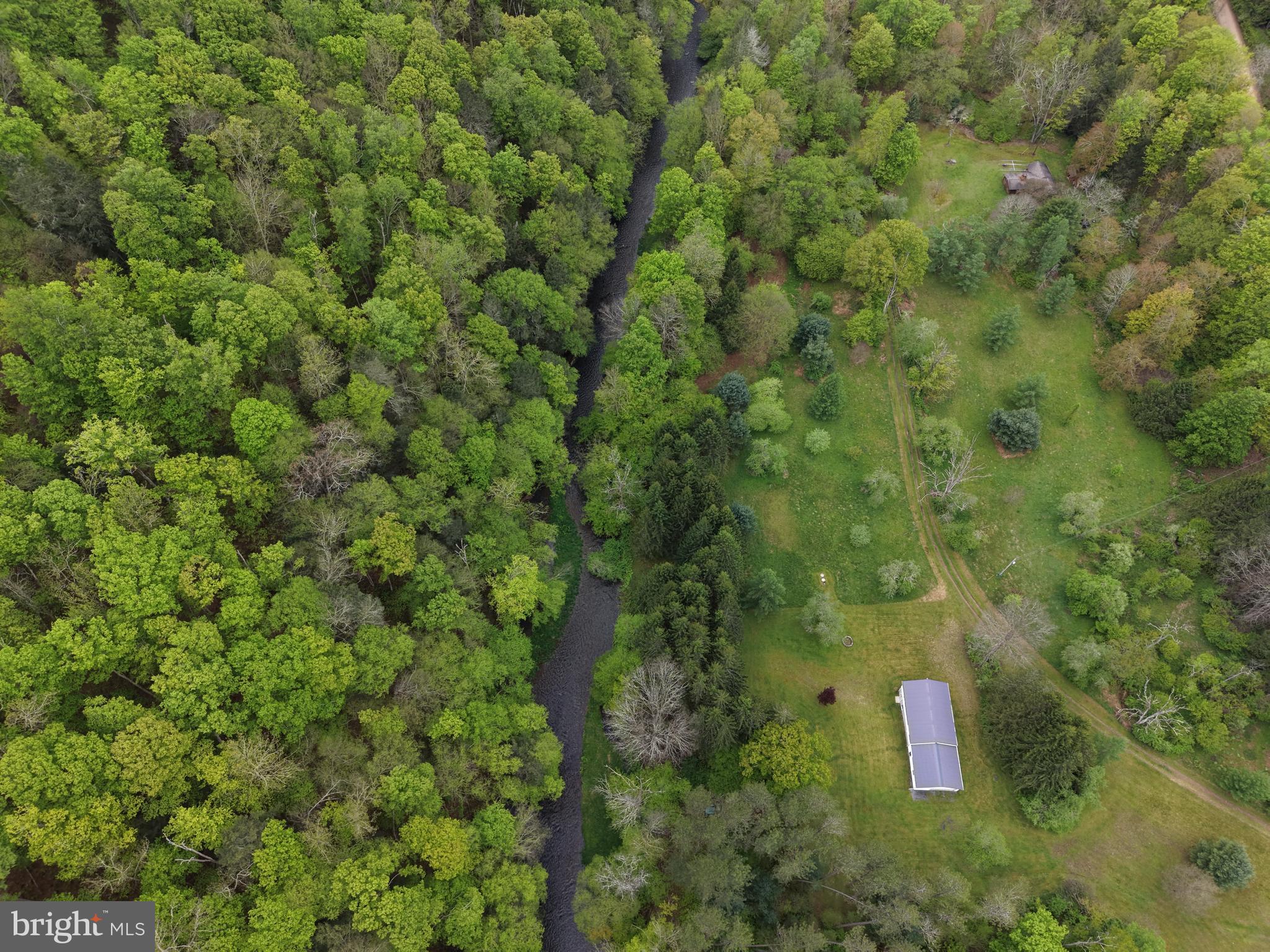 1227 Cross Fork Creek Road Cross Fork, PA 17729 - Photo 20 of 139