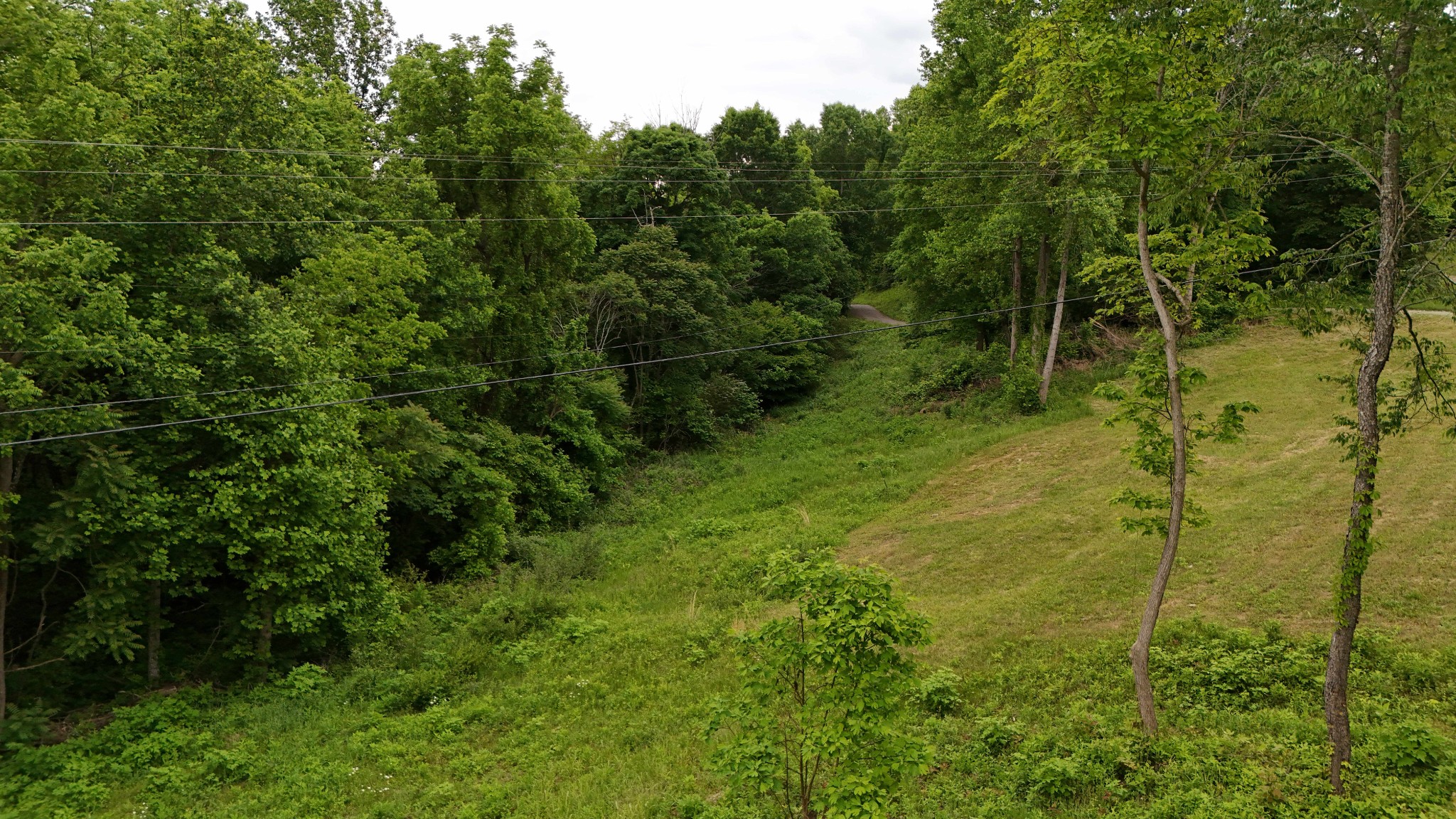 1825 Free Hill Road Celina, TN 38551 - Photo 33 of 49 a view of a garden