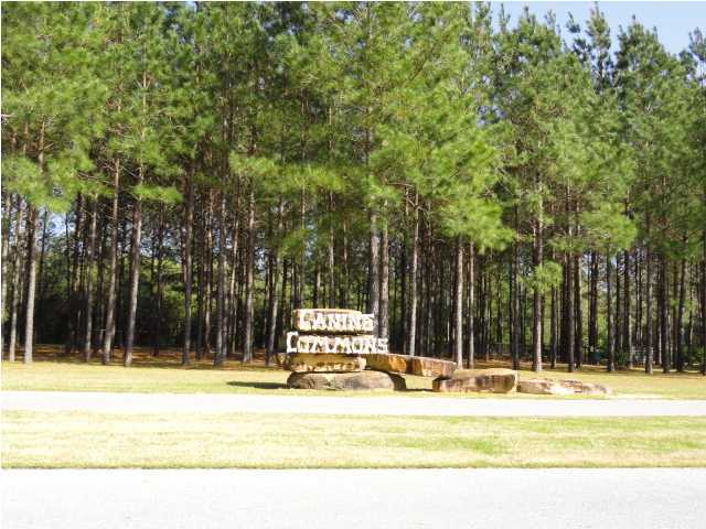 357 Windchime Way Freeport, FL 32439 - Photo 18 of 34 Additional Photo