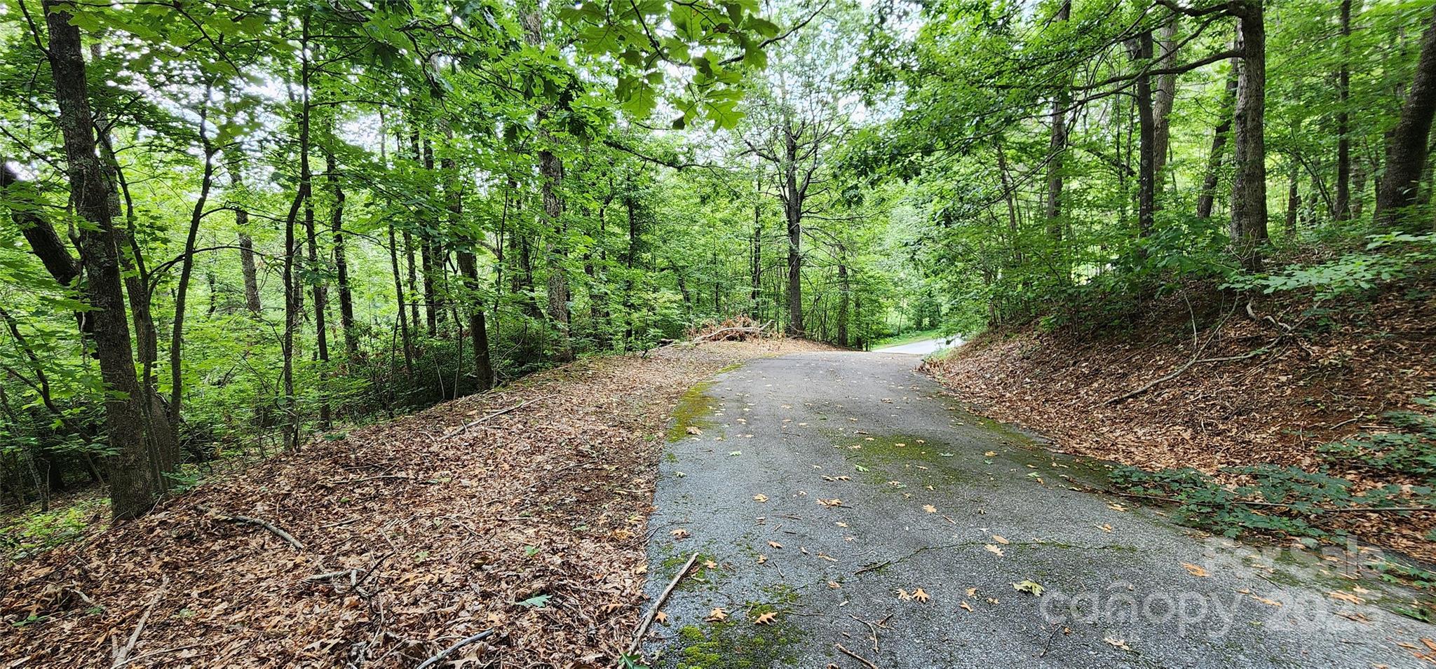 Lot 31 White Oak Mountain Road Columbus, NC 28722 - Photo 11 of 13 a view of a road with plants and trees
