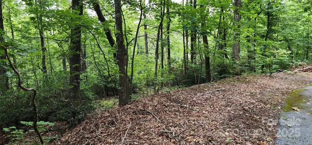 a big yard with lots of green space