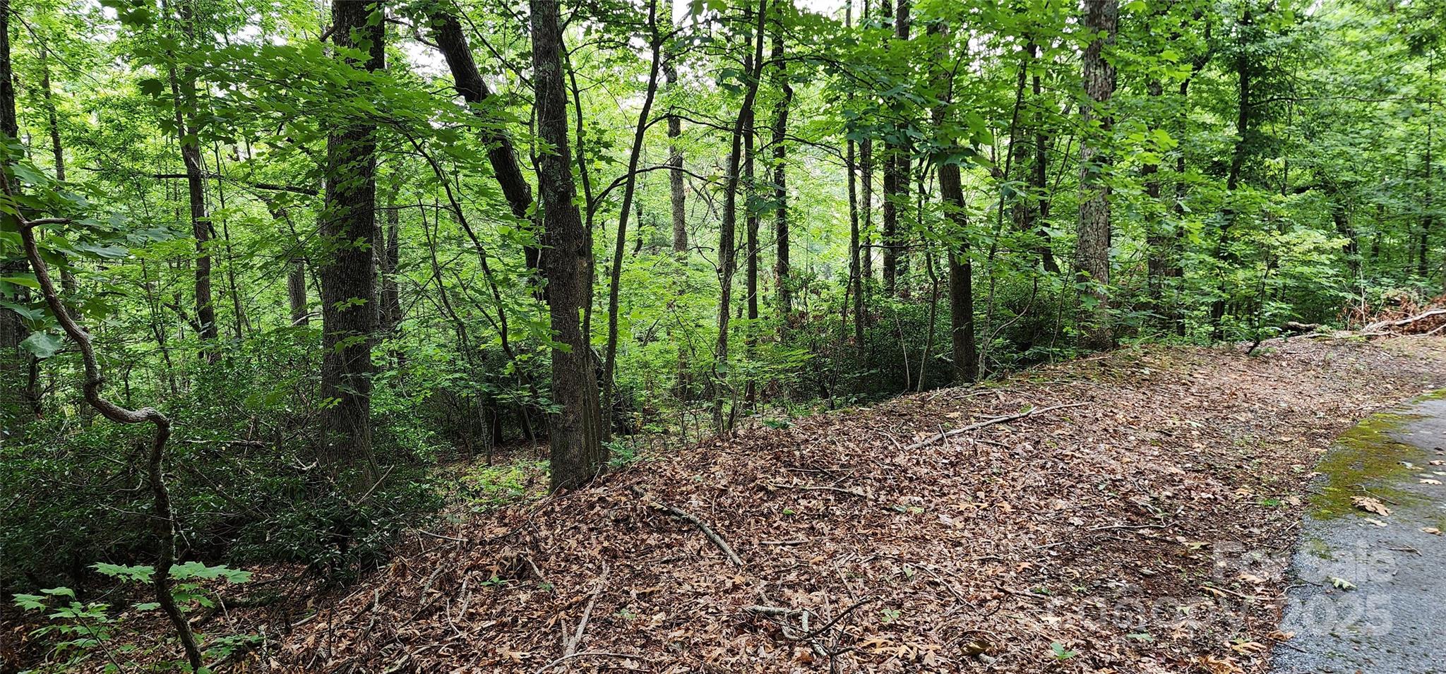 Lot 31 White Oak Mountain Road Columbus, NC 28722 - Photo 13 of 13 a big yard with lots of green space
