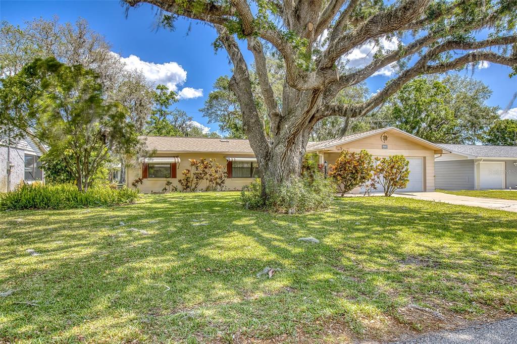 1855 Pine Tree Drive Edgewater, FL 32141 - Photo 1 of 26 a front view of a house with a garden