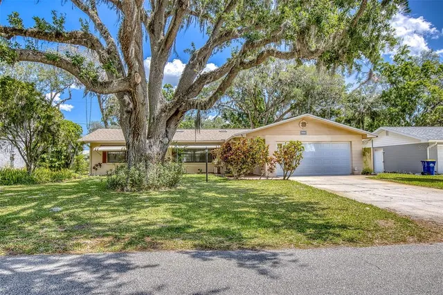 a large tree in front of a house