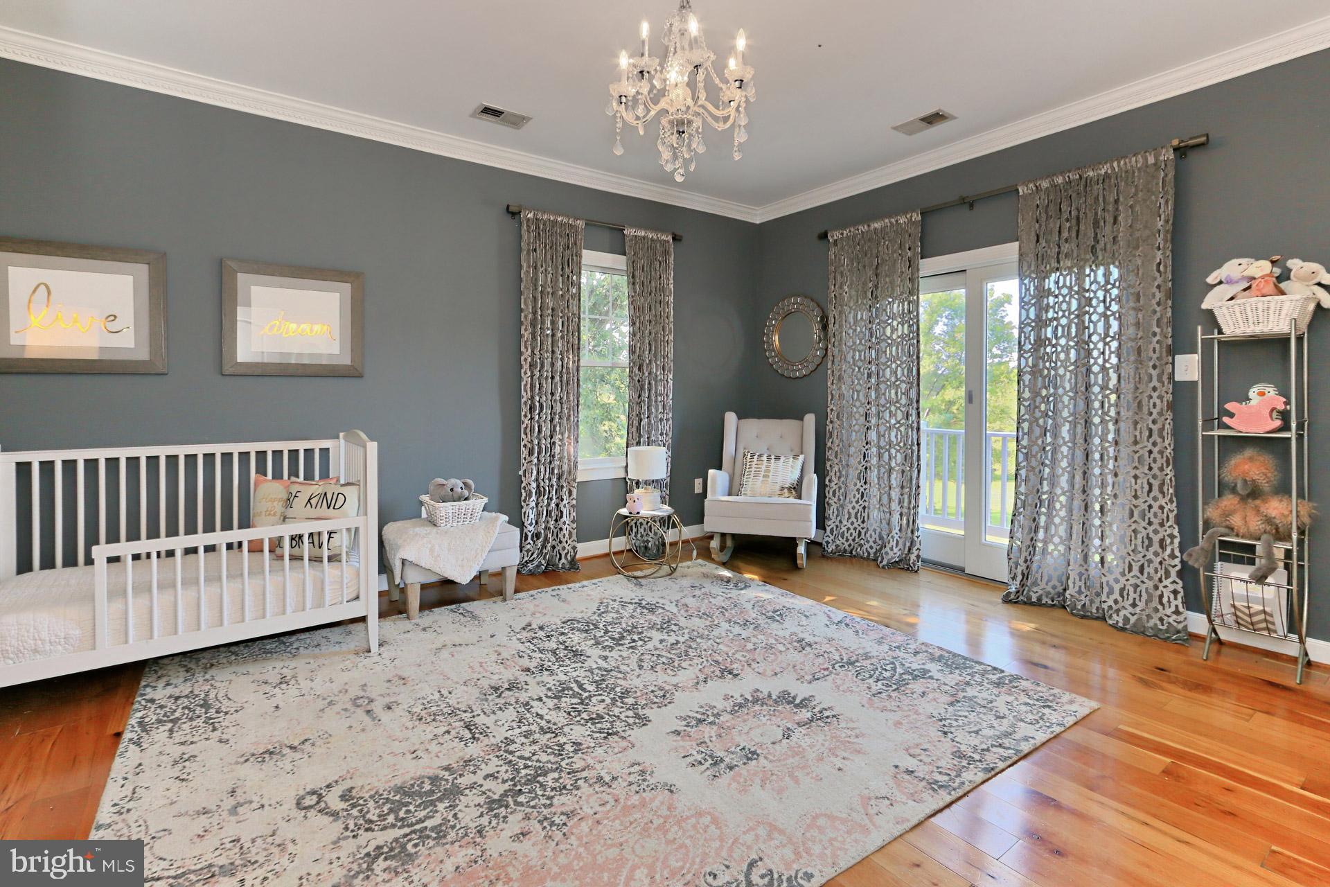 39605 Rodeffer Road Lovettsville, VA 20180 - Photo 48 of 100 2nd bedroom can be second master bedroom
