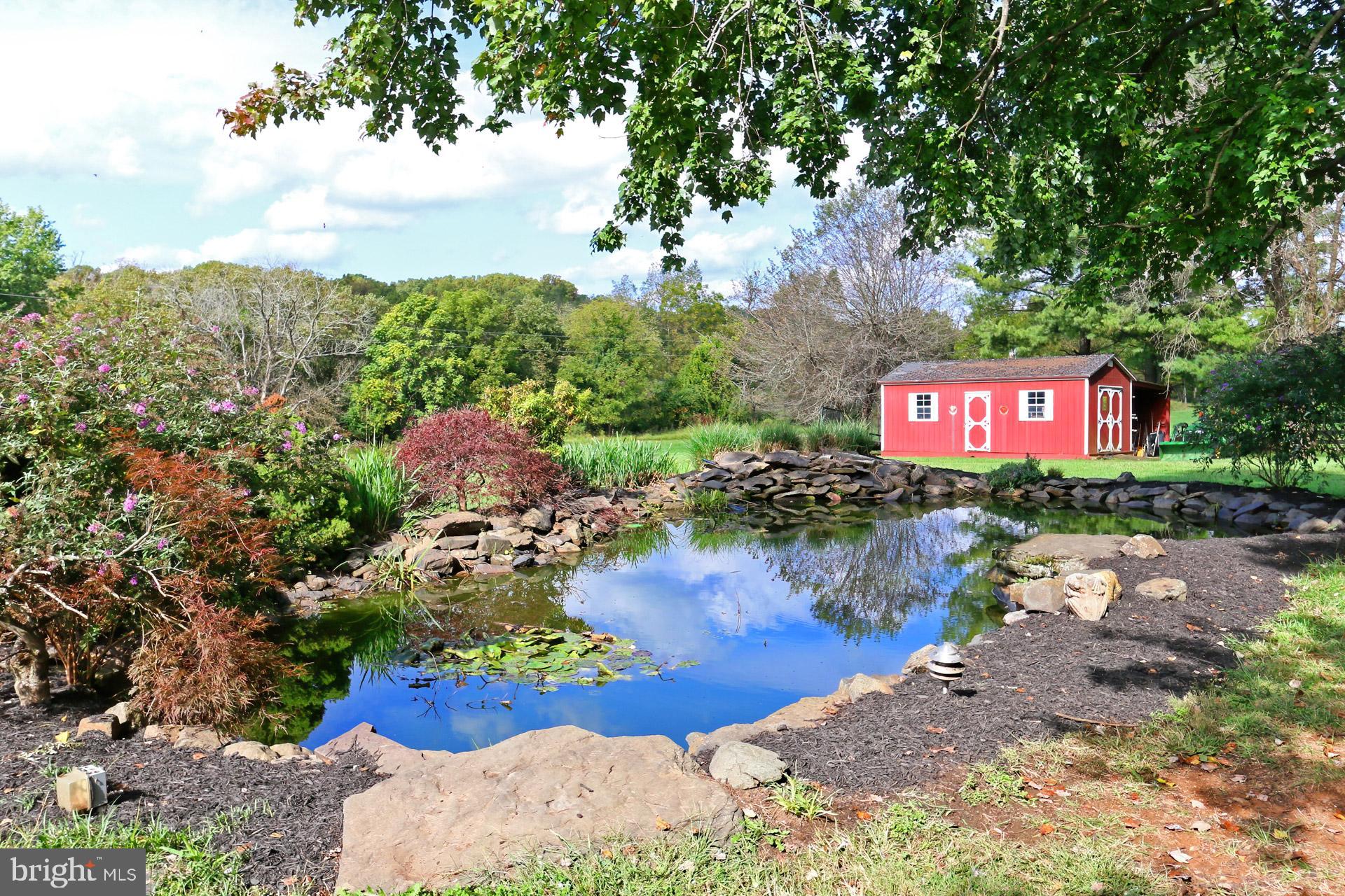 39605 Rodeffer Road Lovettsville, VA 20180 - Photo 81 of 100 pond and shed