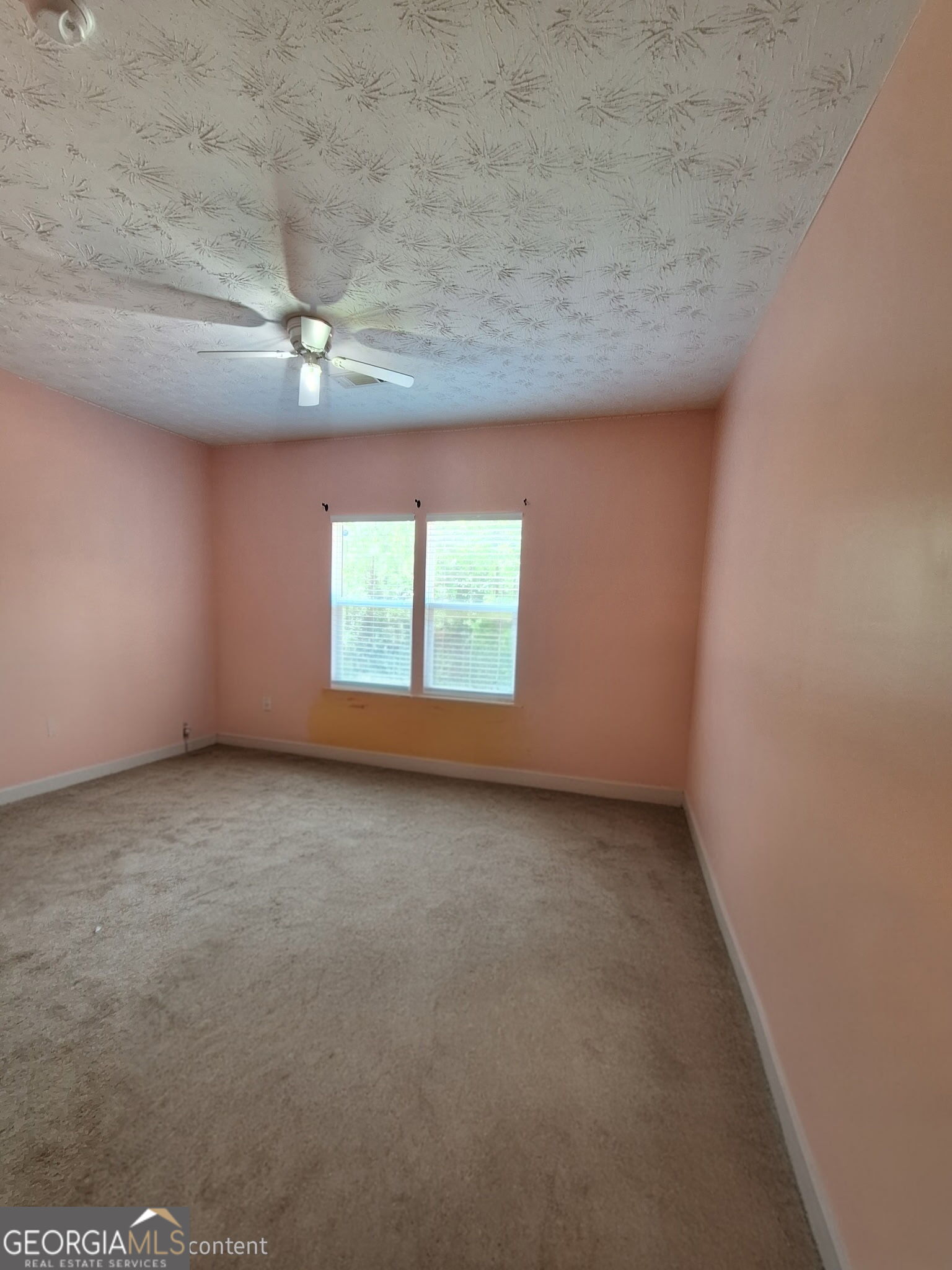 806 Springfield Drive Lafayette, AL 36862 - Photo 16 of 19 an empty room with a empty space and windows