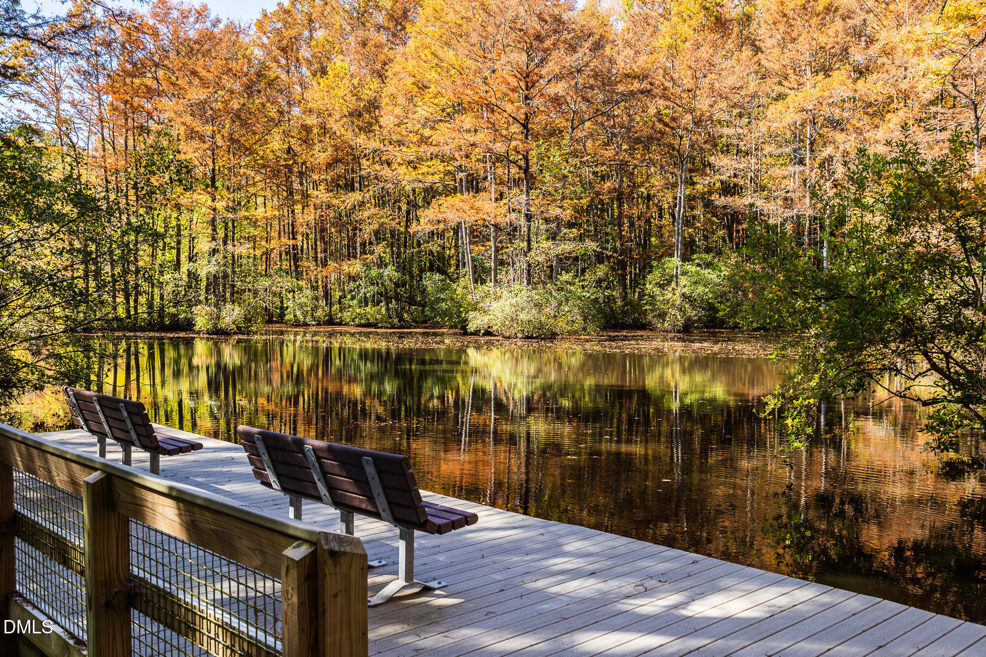 1208 Condor Jct Road Wendell, NC 27591 - Photo 45 of 57 Robertson Millpond Preserve (4)