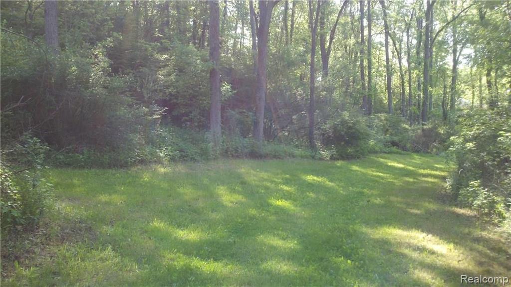 V/l V/l Doyle Road Pinckney, MI 48169 - Photo 4 of 24