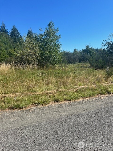 a view of a lake with a yard